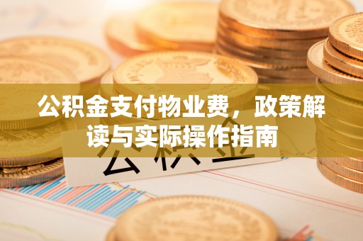 邹平公积金支付物业费，政策解读与实际操作指南